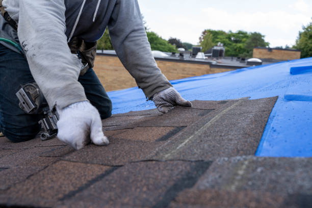 Quick and Trustworthy Emergency Roof Repair Services in Celina, TN